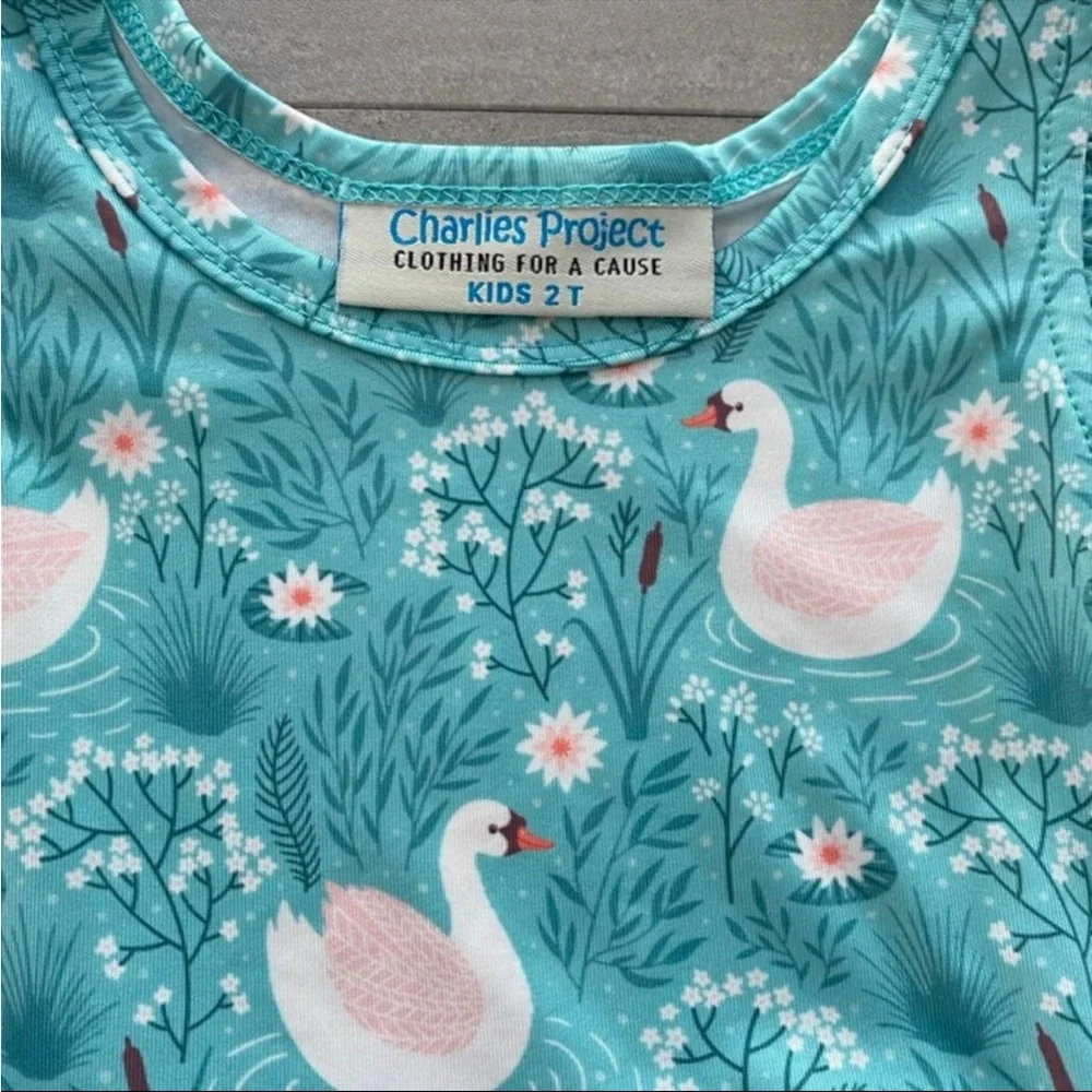 charlie’s project dress teal